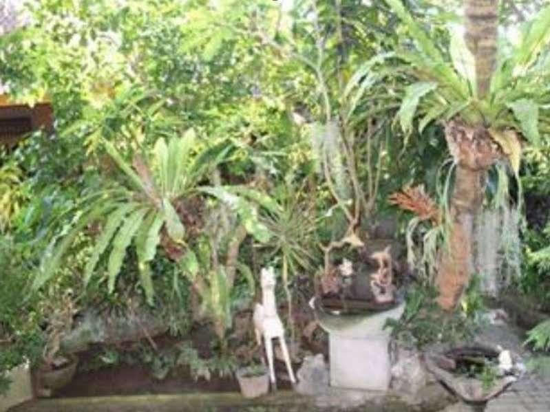 Sadru House Bed & Breakfast Ubud  Bagian luar foto